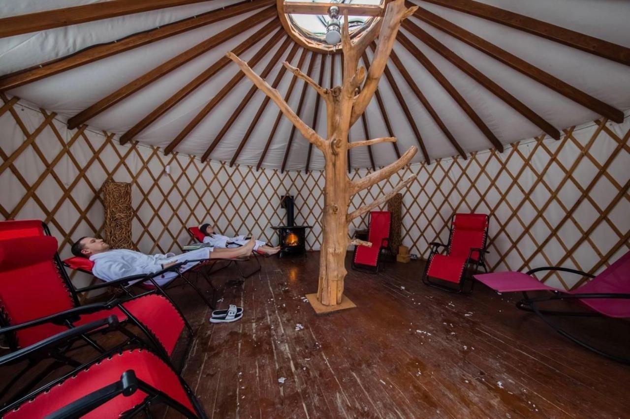 Versant Mont-Sainte-Anne Exteriör bild